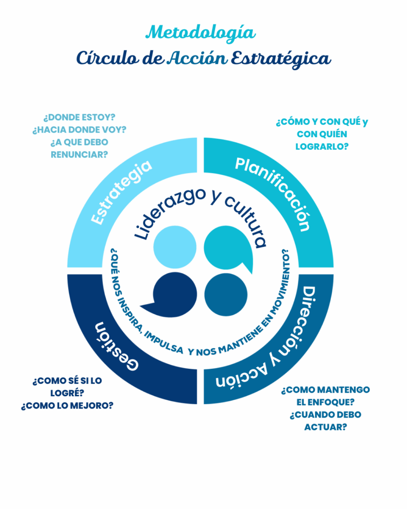 Strategic Solutions - Accionarial Estrategica